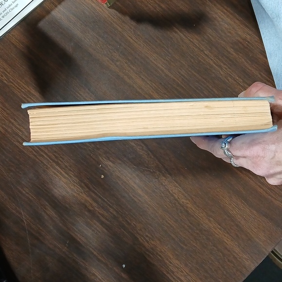 Under the Lilacs by Louisa May Alcott 1928 - Picture 5 of 8